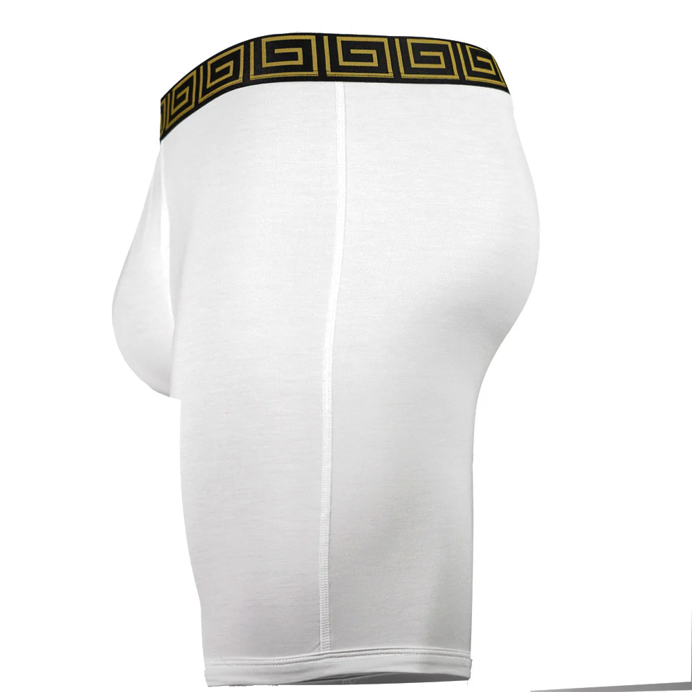 SHEATH V Modal Men's Pouch Boxer Brief 8" - Image 29